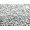 SESAME SEED HULLED 99.95%