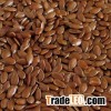 Flax Seeds