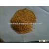 Mustard Seeds Supplier from India