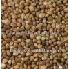 Chinese hemp seeds