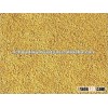 GOOD QUALITY yellow mustard seeds