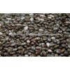 bulk chia seed