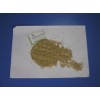 Bangladeshi Origin Natural Sesame Seeds