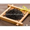 Chinese Sesame for Smart Buyers