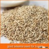 sesame seed for buyers