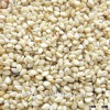 searching importers of sesame seeds buyers