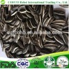 No 5009 fried Sunflower seeds low price