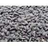 Organic Sunflower Seeds, sunflower seeds for human consumption at cheap price