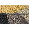 High quality Black Mustard Seed