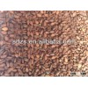 high quality golden yellow sesame seeds