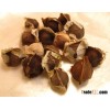 Superior Quality PKM1 Moringa Seeds for sale