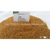 Natural Yellow Sesame Seed