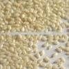 Indian Hulled Sesame Seed