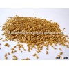 Flax Seeds / Linseeds