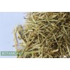 Alfalfa Wholesale
