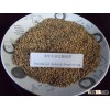 Super Good Quality Perennial Hybrid Pennisetum Grass Seed
