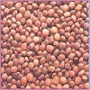 Guar Seeds