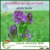 Touchhealthy supply Perennial Alfalfa Grass Seed