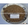 Chinese Hybrid Pennisetum Grass Seed