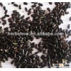 Herb seed--Lavender seeds