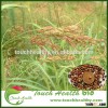 Touchhealthy supply Sorghum-Sudangrass Hybrid seeds/ Sudangrass seeds/Forage grass seeds