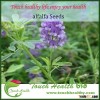 Touchhealthy supply best quality alfalfa grass seeds with competitive price