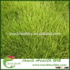 2016 Touchhealthy supply Festuca arundinacea Schreb seeds/Lawn seeds