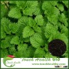 Touchhealthy supply 100% Best Quality Peppermint sweets seeds for cultivating