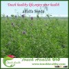 Top Quality Alfalfa Grass Seed For Growing