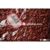 Sorghum Hybrid sudan grass Seeds