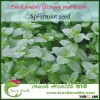 Touchhealthy supply mint seeds