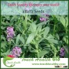 Touchhelahty supply alfalfa sprout seed
