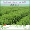 Touchhealthy supply 100% Natural best quality alfalfa seeds