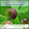 2016 touchhealthy supply good quality red clover seeds as forage seeds