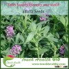 Touchhealthy supply hot sale alfalfa seeds for animals