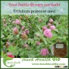 2016 Touchhealthy supply Hot product red clover seeds for cultivating