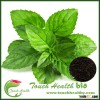 Touchhealthy supply 100% Best Quality Mentha arvensis seeds for cultivating