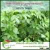 Touchhealthy supply alfalfa grass seed for planting