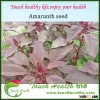 Touchhealthy supply amaranth seeds with competitive price