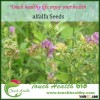 Touchhealthy supply best quality alfalfa seeds /seeds alfalfa for sprouting