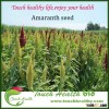 Touchhealthy supply Amaranth grass seed for planting