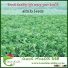 Highly adaptable best quality alfalfa seed for sale