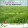 2016 Touchhealthy supply perennial ryegrass seeds forage seeds grass seeds can tolerate low temperat