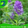 2016 Hot sale Medicago seeds for growing