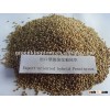 Export-oriented Good Tasted Hybrid Pennisetum Forage Seed