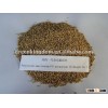 Hot!!! Farm Grass Seed (Pennisetum americanum * P.purpureum CV.Bangde No.1)