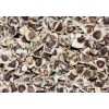 Moringa Oleifera seeds