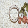 Chinese fresh pumpkin seeds snow white 13cm, Choice Selected quality