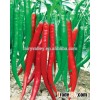 All Kinds Of Green /Red/ Hybird F1/ Hot Pepper Seeds Hot Chilli Seeds hybriid vegeatable seed for sa