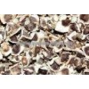 Moringa Seed